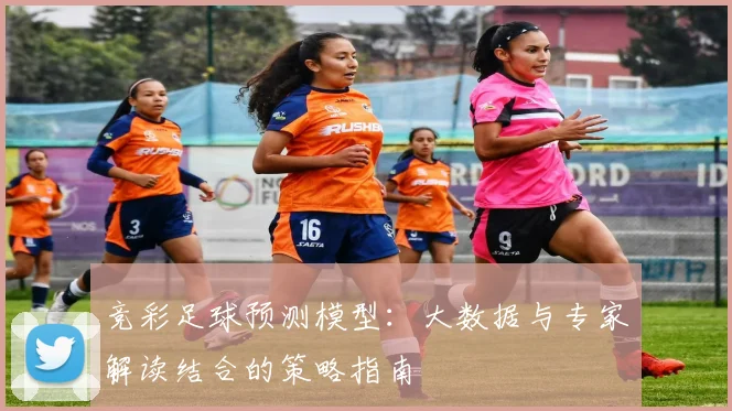 竞彩足球预测模型:大数据与专家解读结合的策略指南